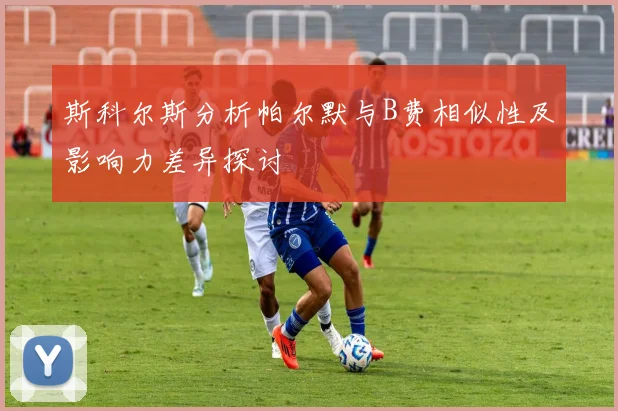 斯科尔斯分析帕尔默与B费相似性及影响力差异探讨