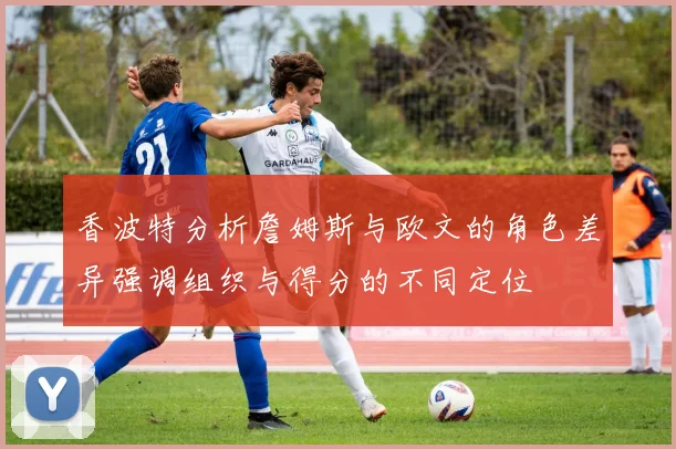 香波特分析詹姆斯与欧文的角色差异强调组织与得分的不同定位